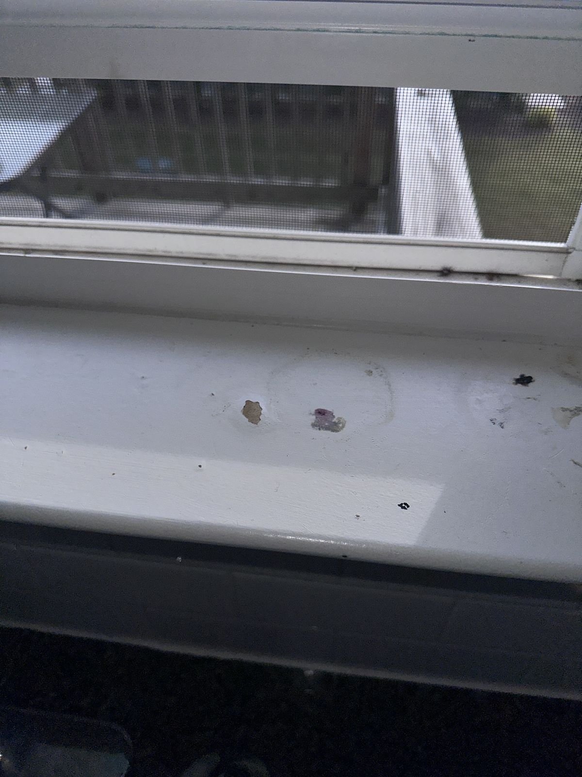 Chipped and marked window sill before repair